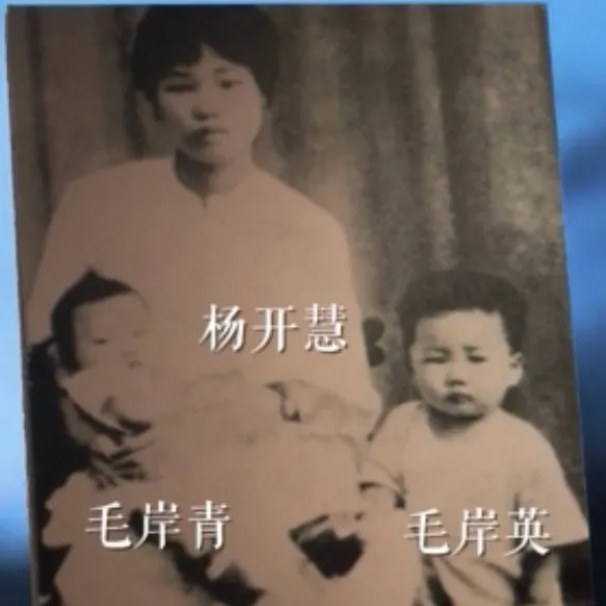 【HEF党建小课堂100讲】第七十讲：“打仗总是要死人的……不要因为是我的儿子，就当成一件大事”(图2)