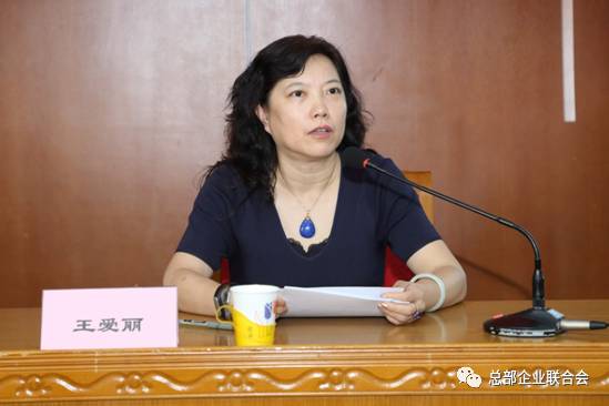 2017朝阳区跨国公司地区总部工作会成功召开(图4) 2017朝阳区跨国公司地区总部工作会成功召开(图4)
