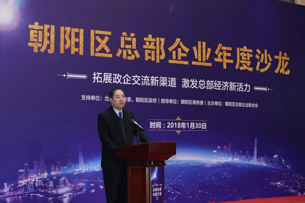 朝阳区总部企业年度沙龙成功举办(图3) 朝阳区总部企业年度沙龙成功举办(图3)